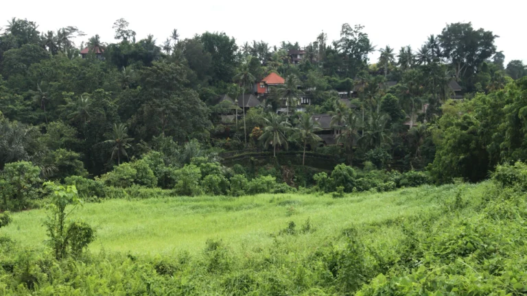ubud